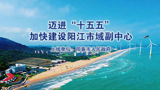 陽春市委副書記、市長張艾鵬